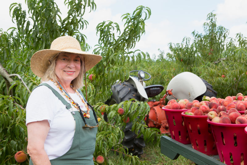 Carrie Bennett smiling next to an antique tractor pulling a wagon load of fresh Bennett Peaches just picked. 