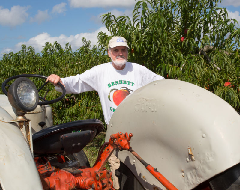 James "Jim" Bennett Jr standing next to a tractor in the peach orchard. 