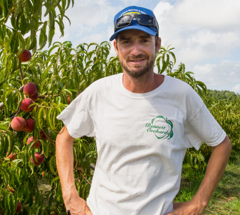 Hail Bennett stands in the field with Bennett Peaches draped abundantly on rows behind him. 